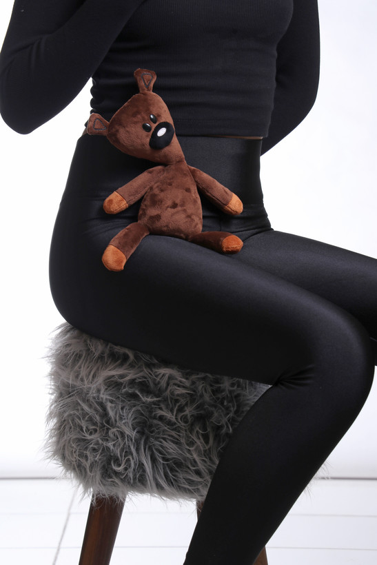 لگ شاین و عروسک تدی مستربین